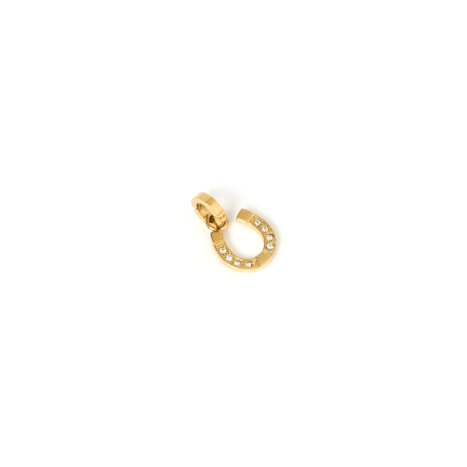 Lucky Horseshoe Charm 4