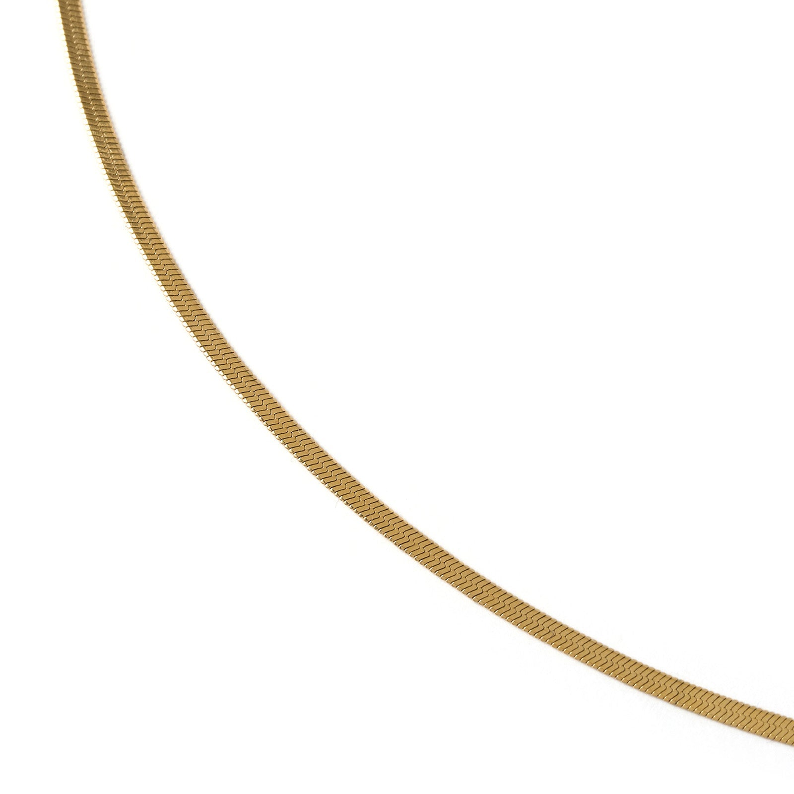 Shayla Gold Snake Chain Necklace 4