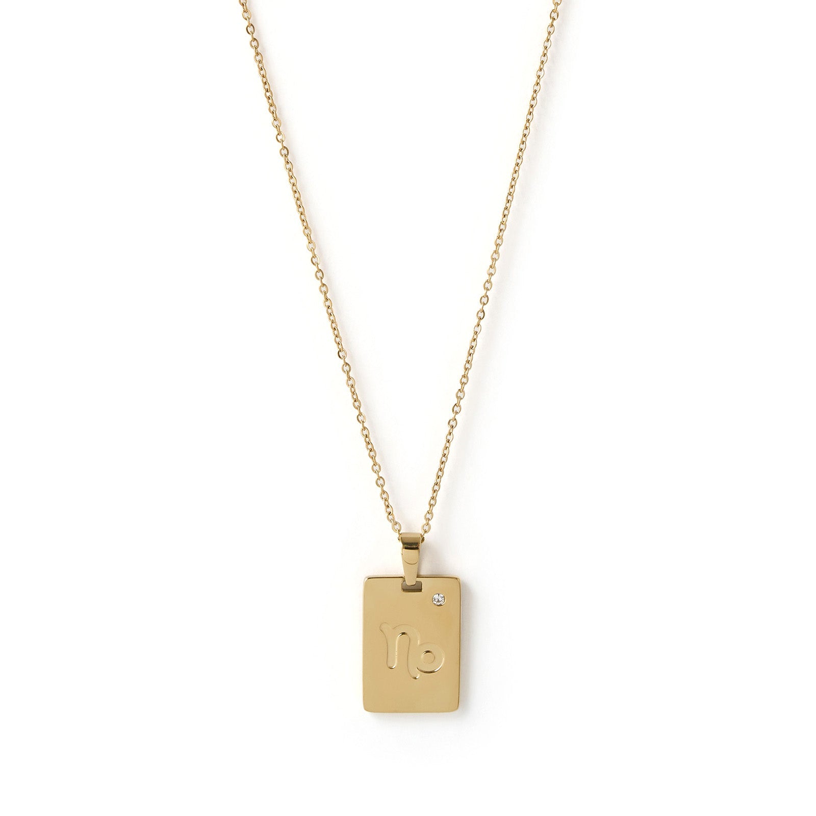 Zodiac Gold Tag Necklace 8