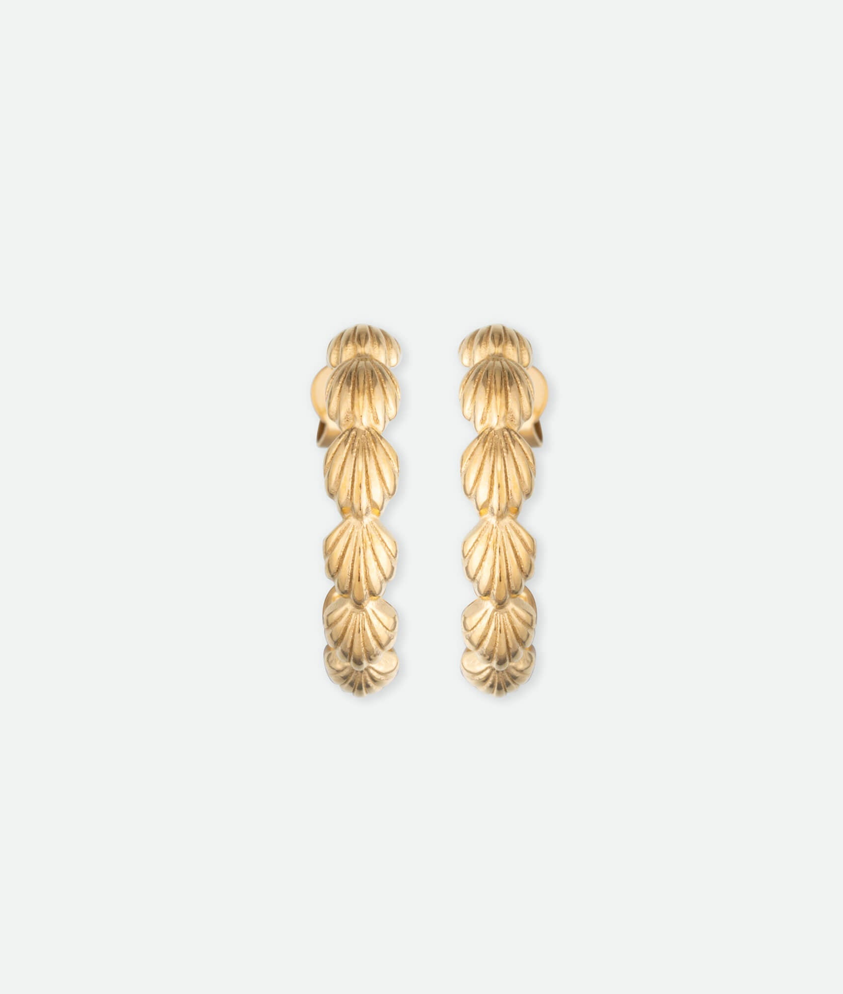 Seashell hoop Earrings gold