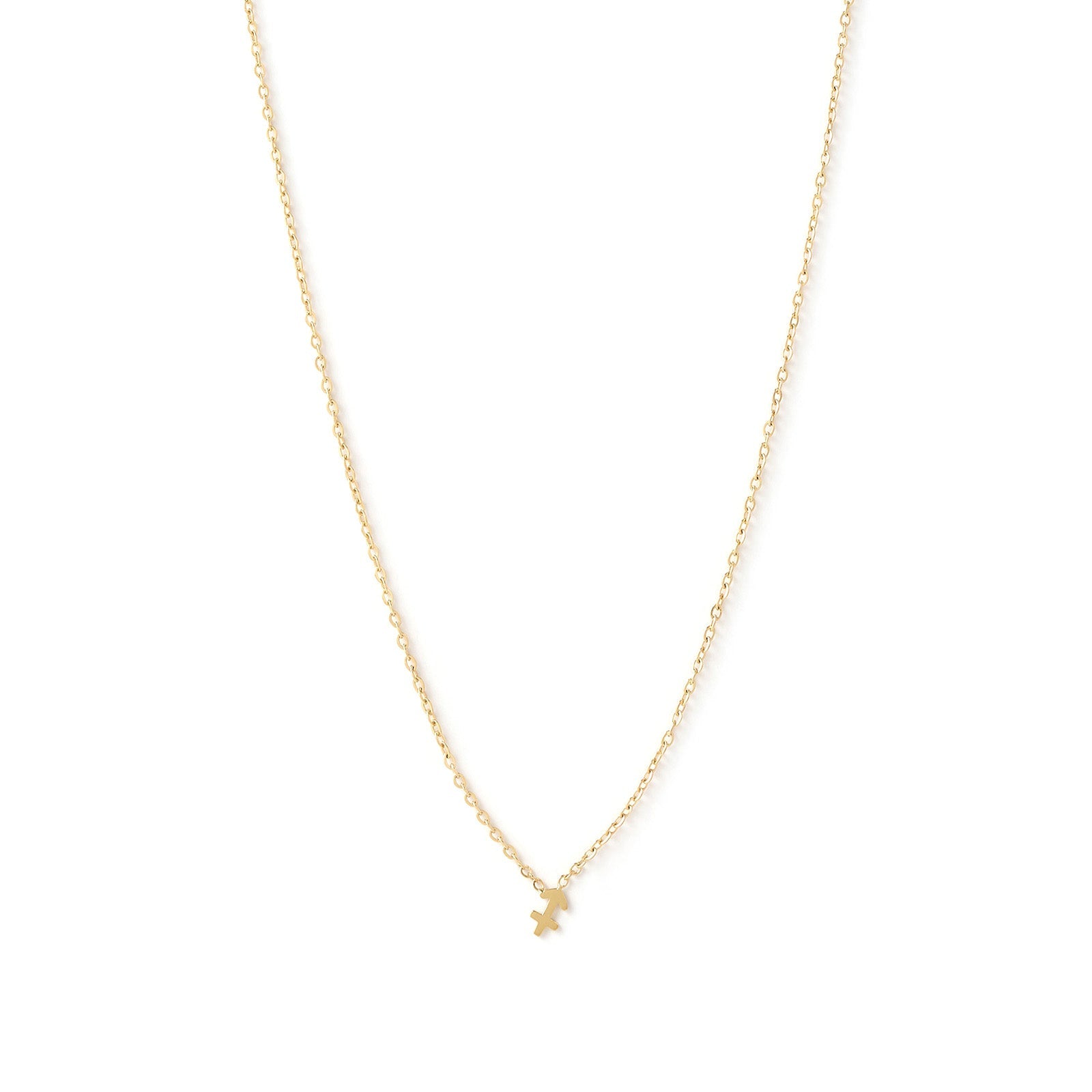 Mini Zodiac Gold Necklace 14