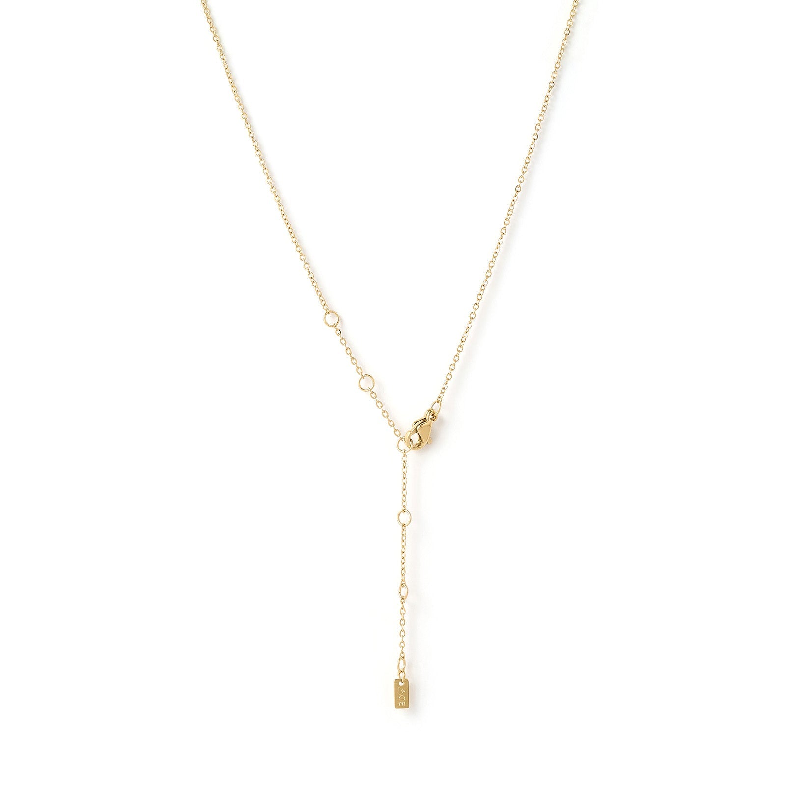 Mini Zodiac Gold Necklace 17
