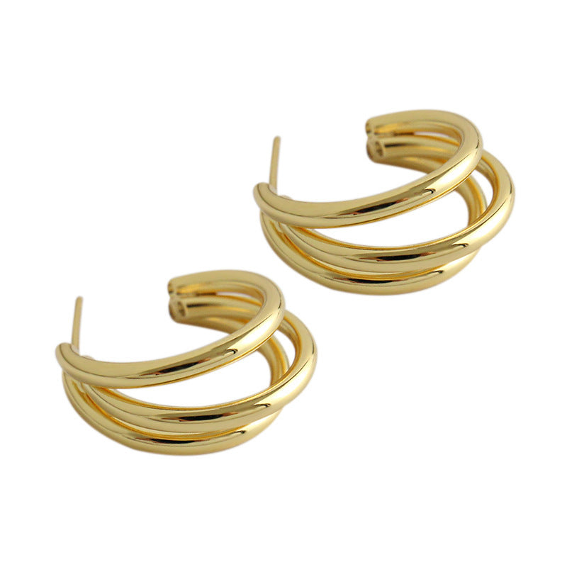 Ring Circle S925 Sterling Silver Earrings For Women