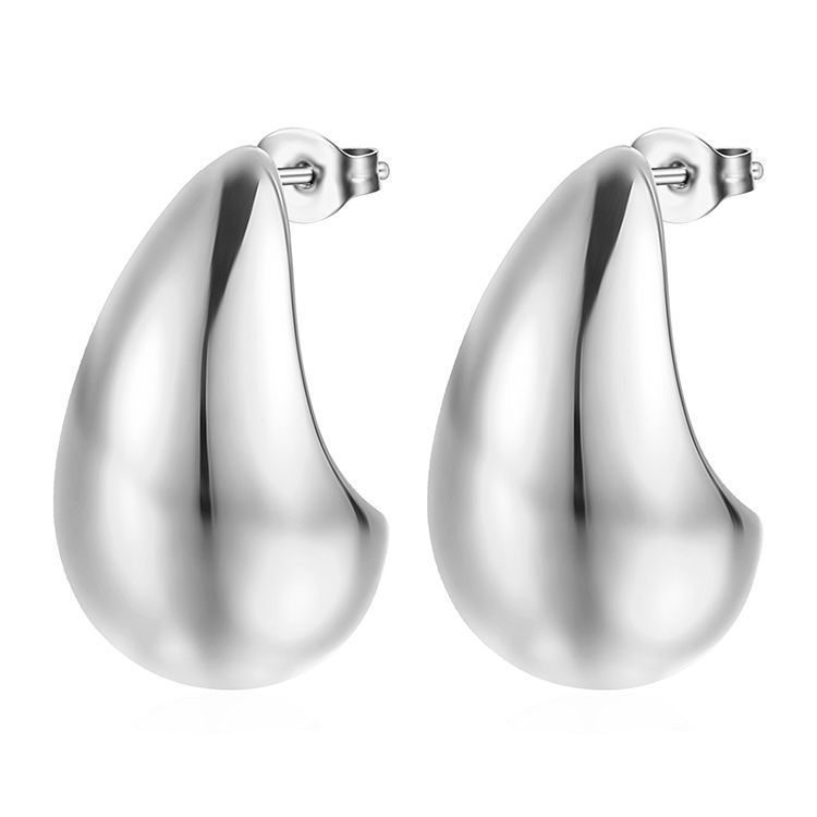 Stainless Steel Droplet Earrings for women