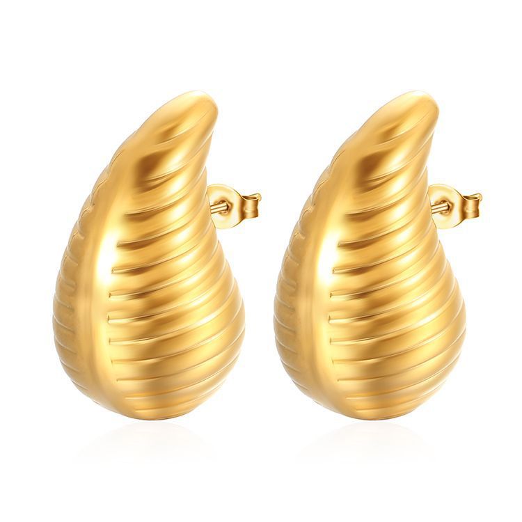 Stainless Steel Droplet Earrings for women