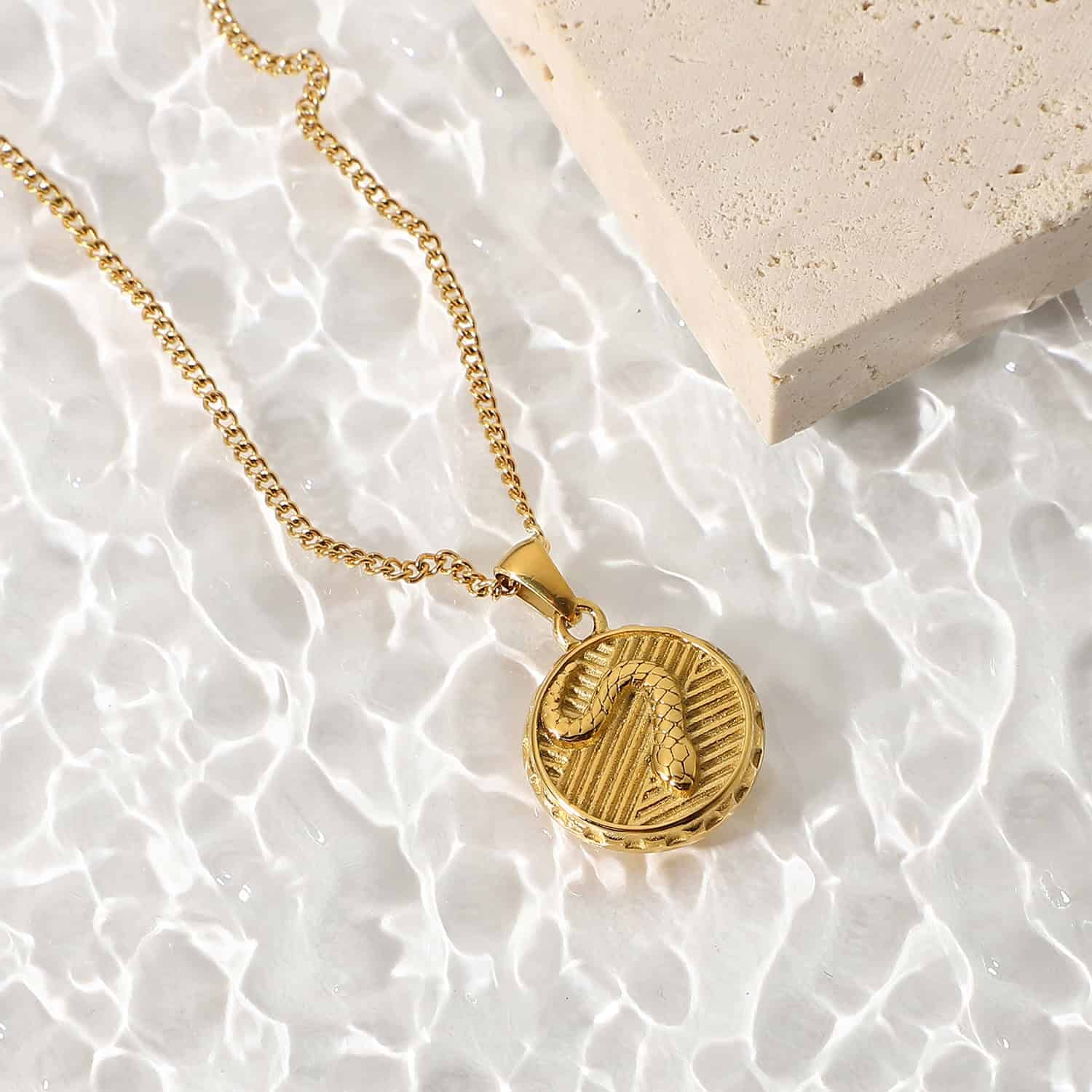 Stainless Steel Snake Coin Pendant Necklace