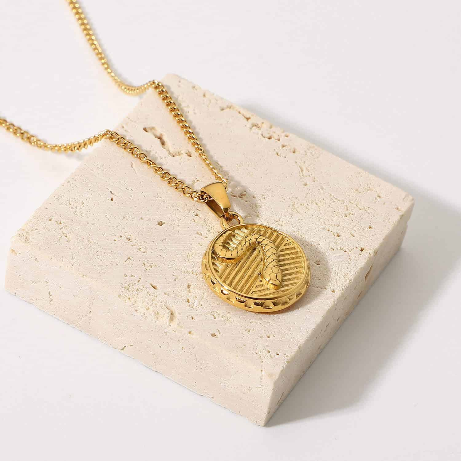 Stainless Steel Snake Coin Pendant Necklace