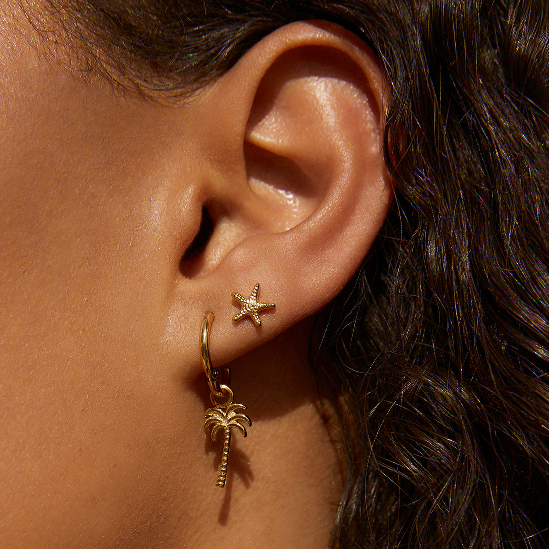 Starfish Gold Studs 4