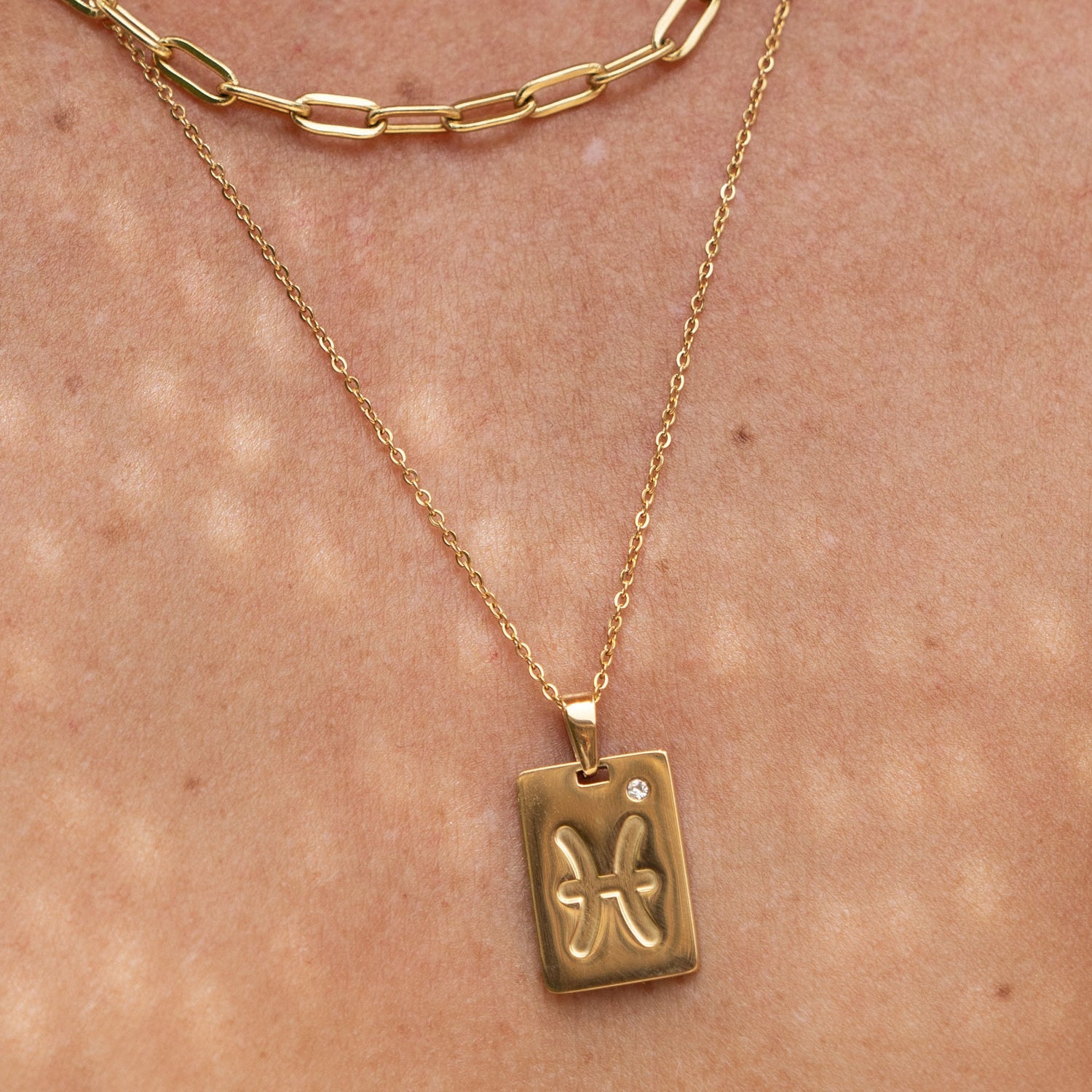 Zodiac Gold Tag Necklace 2