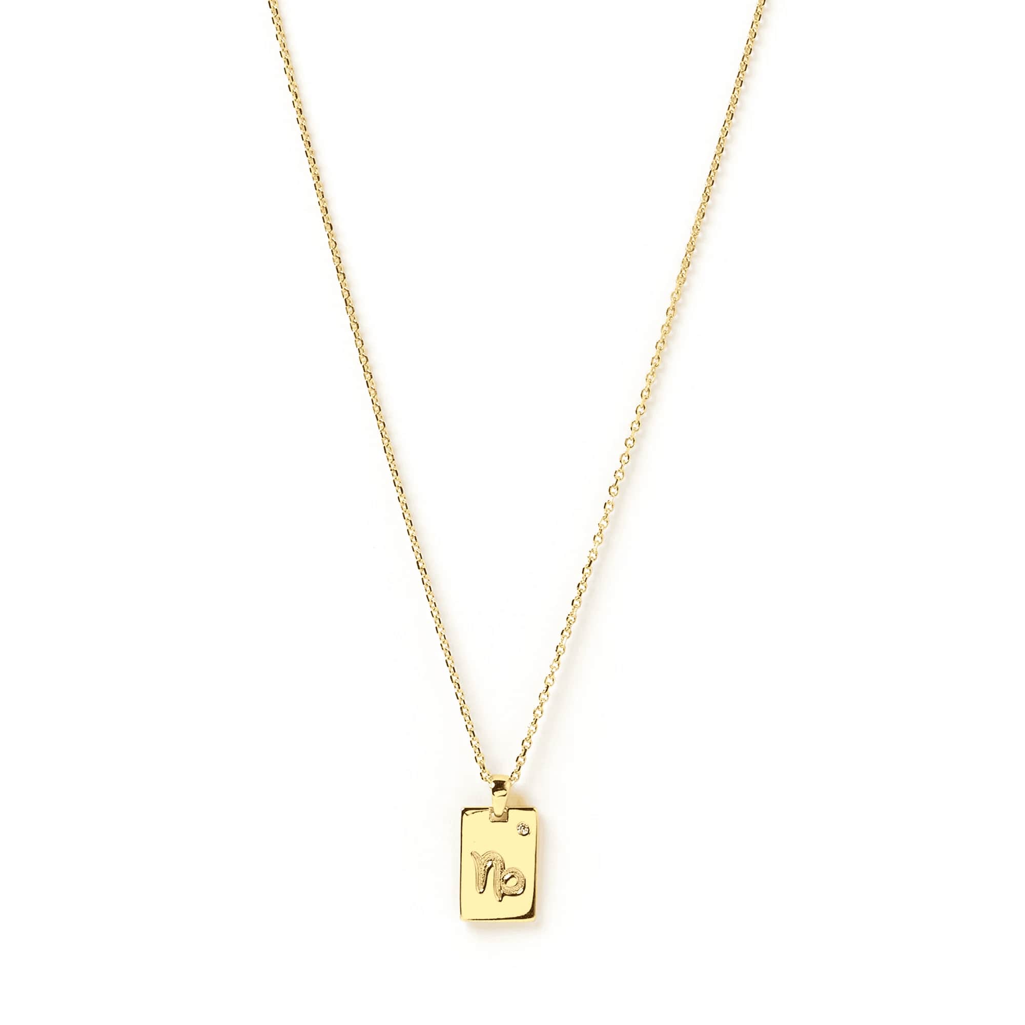 Zodiac Gold Tag Necklace 14k Gold plated 