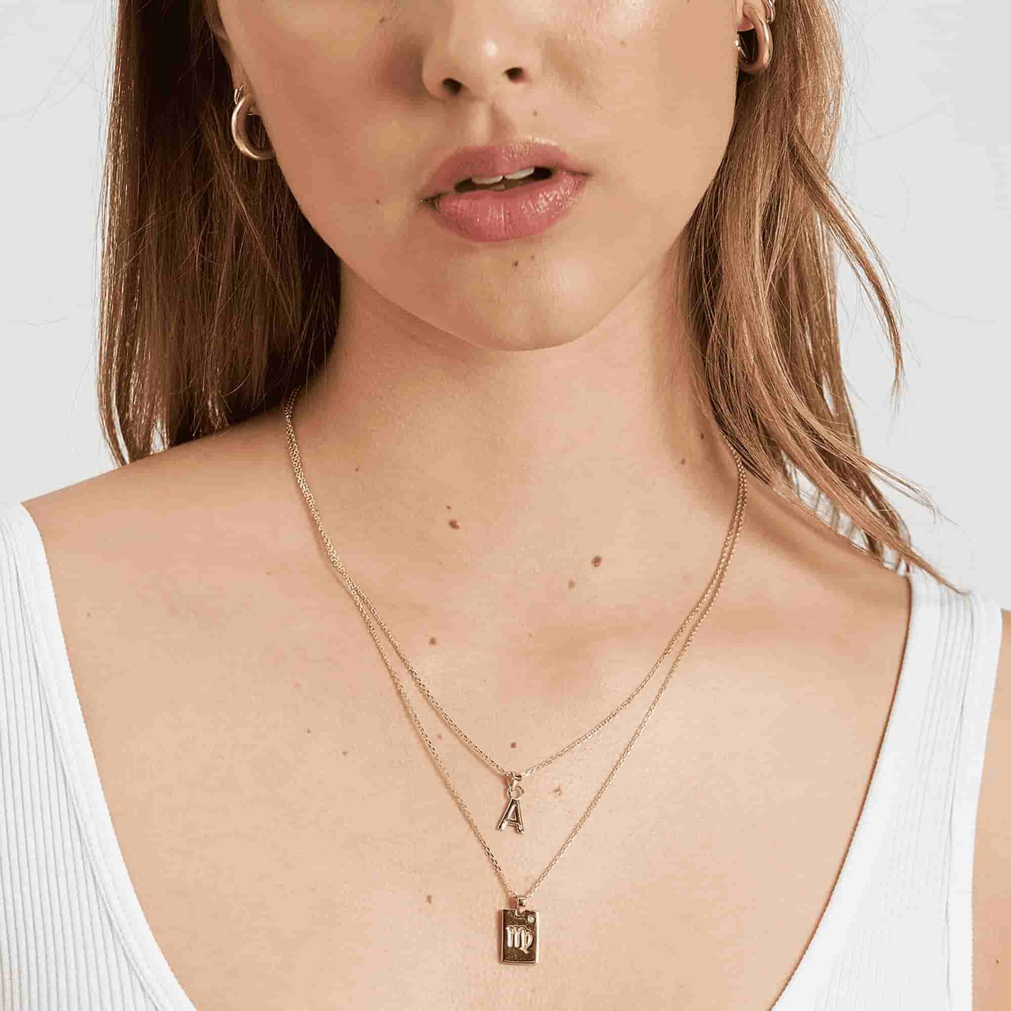 Zodiac Gold Tag Necklace 14k Gold plated 