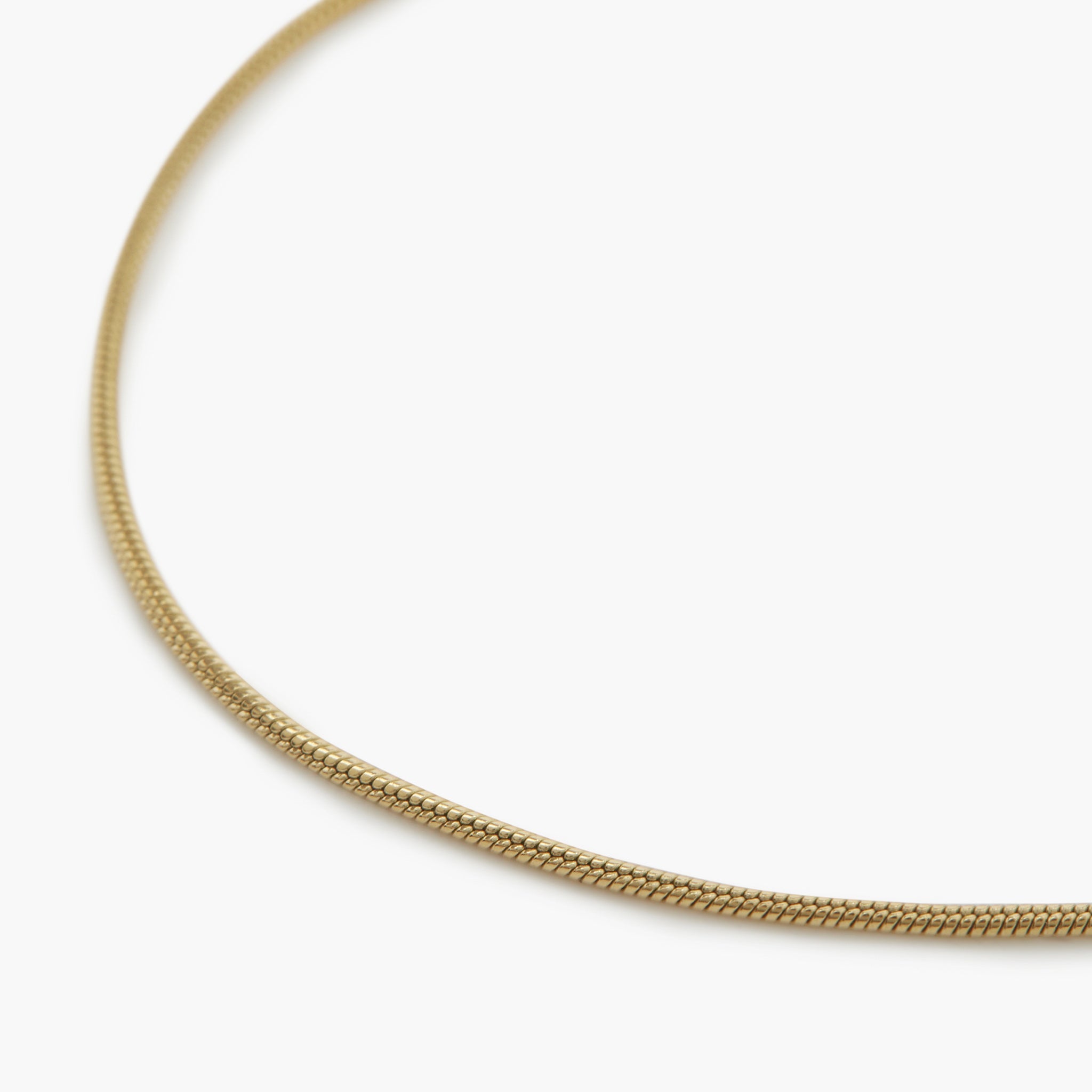 Women's Dainty Gold Bracelet | Womens Jewelry | Valentina & Rose 